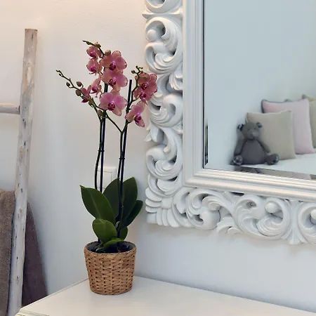 Apollon Boutique Hotel Parikia (Paros)